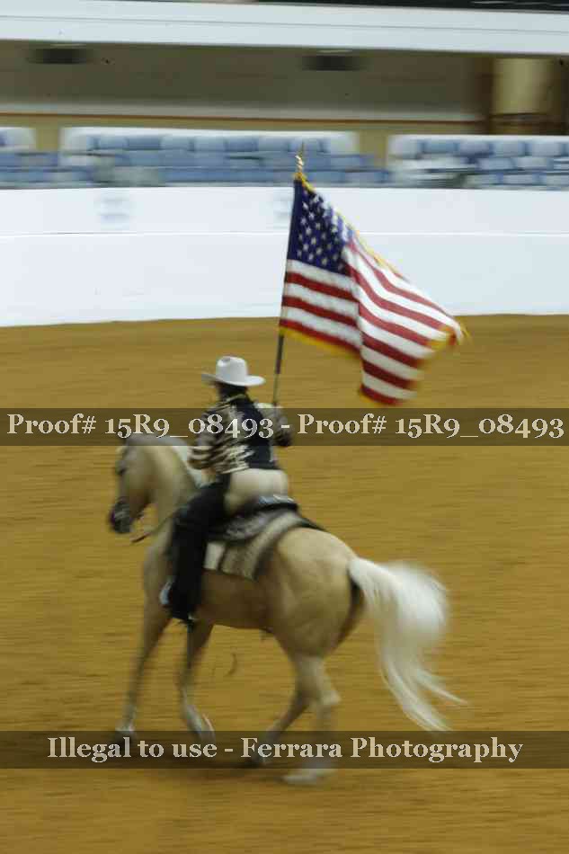 Proof 15R9_08493