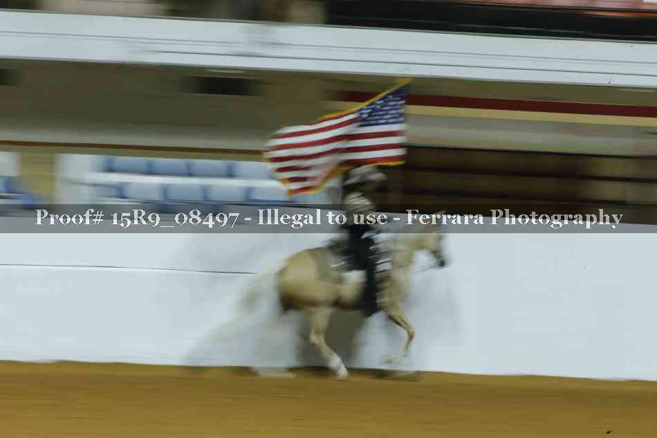Proof 15R9_08497