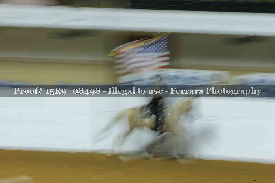 Proof 15R9_08498