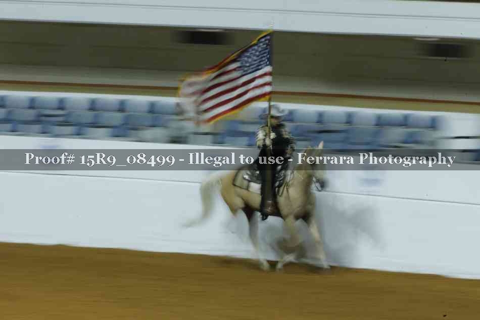 Proof 15R9_08499