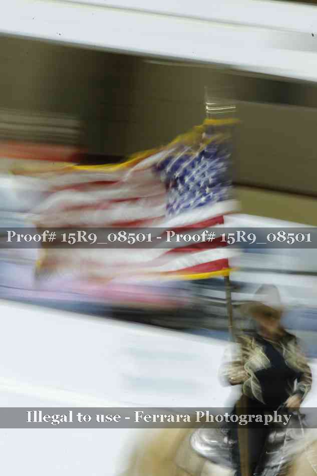Proof 15R9_08501