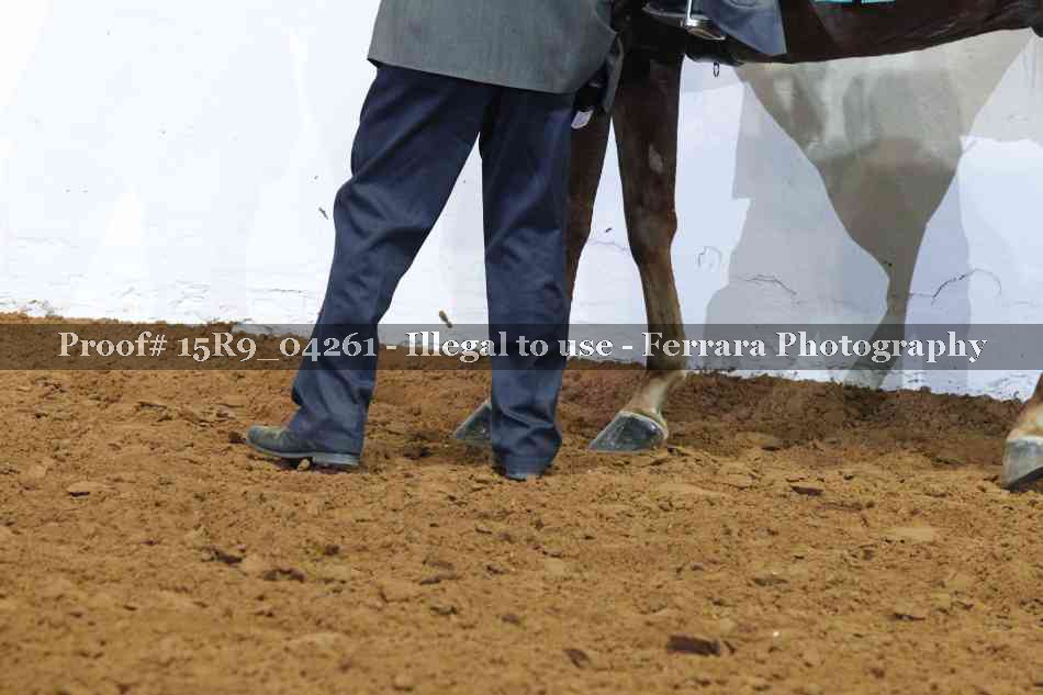 Proof 15R9_04261