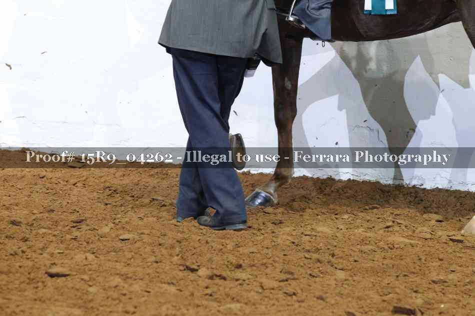 Proof 15R9_04262