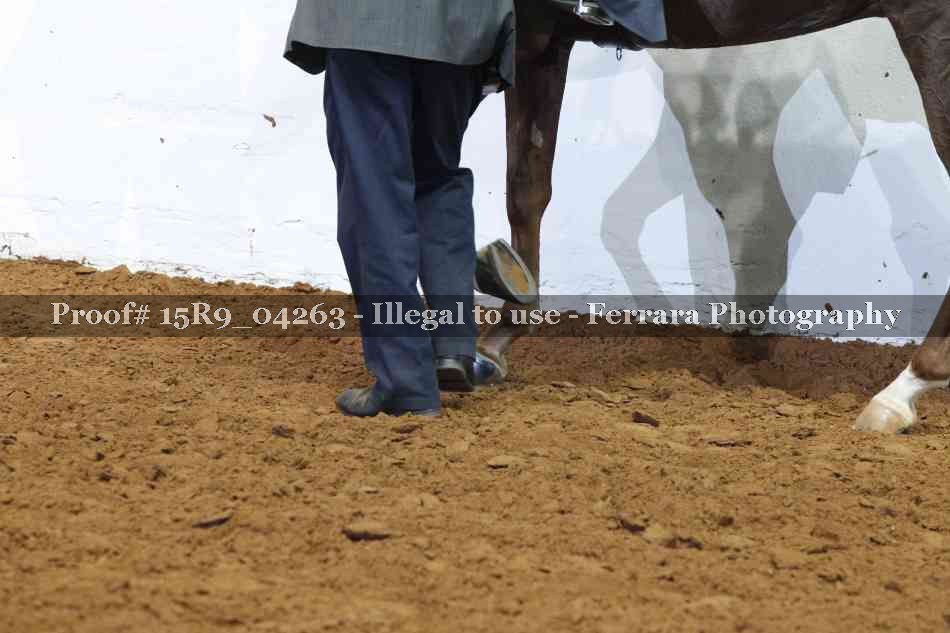 Proof 15R9_04263