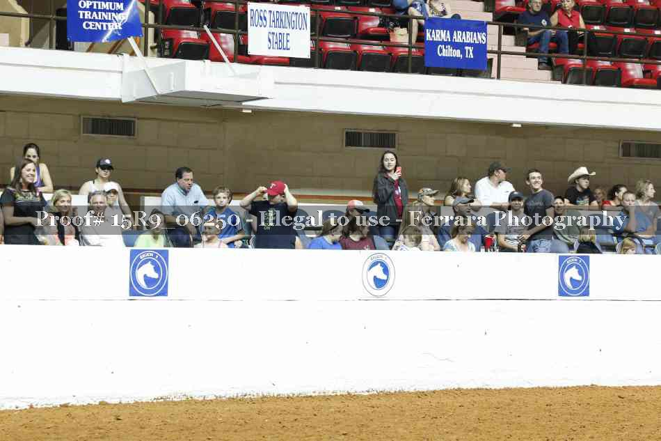 Proof 15R9_06250