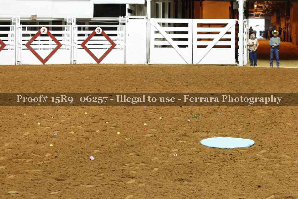 Proof 15R9_06257