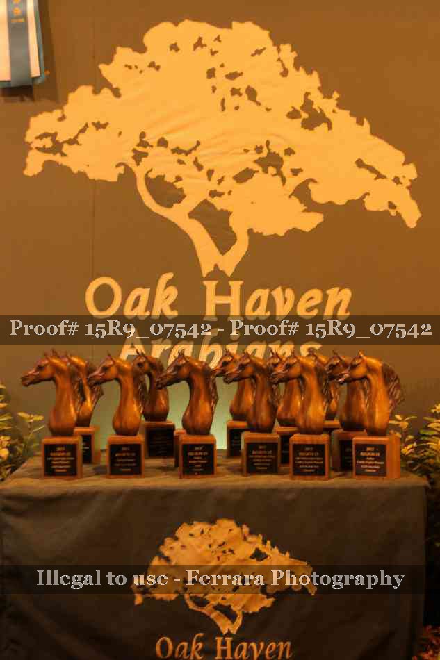 Proof 15R9_07542