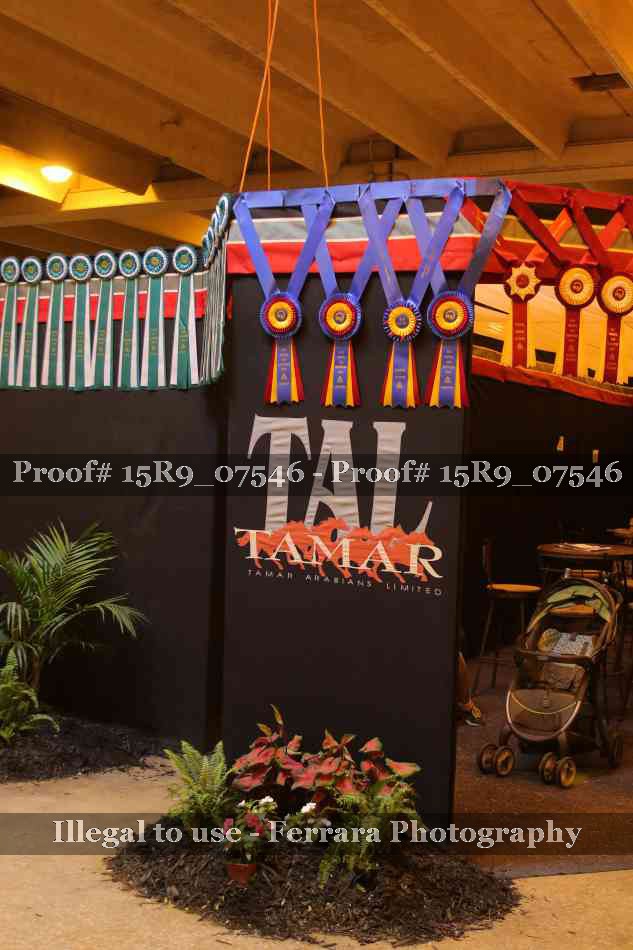 Proof 15R9_07546