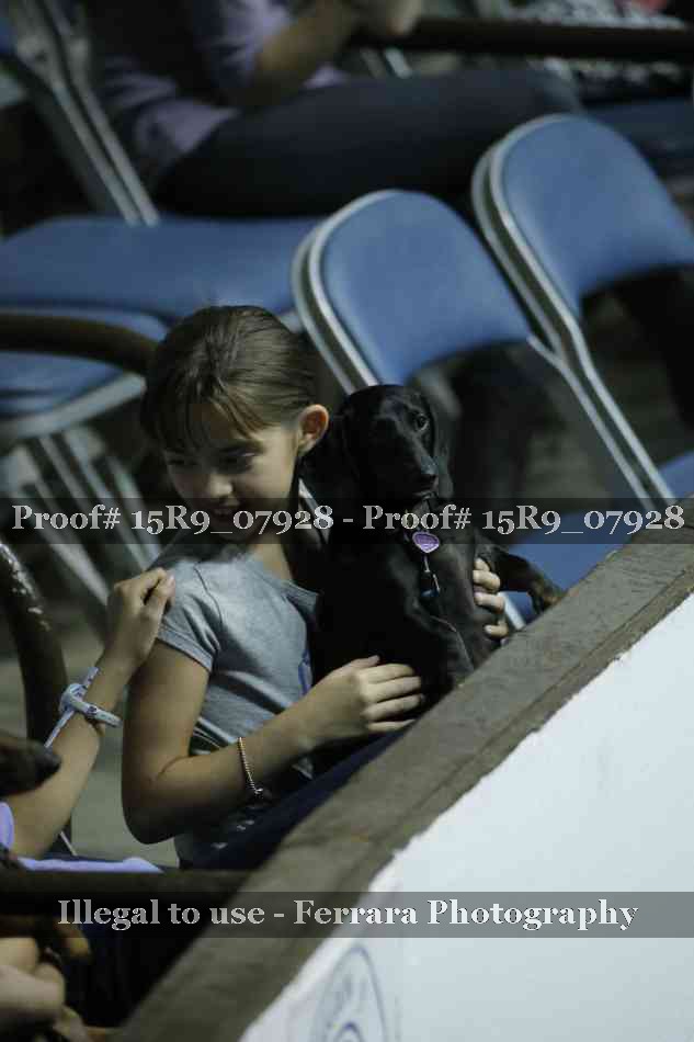 Proof 15R9_07928