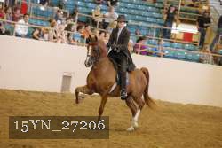 15YN_27206 proof