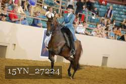 15YN_27224 proof