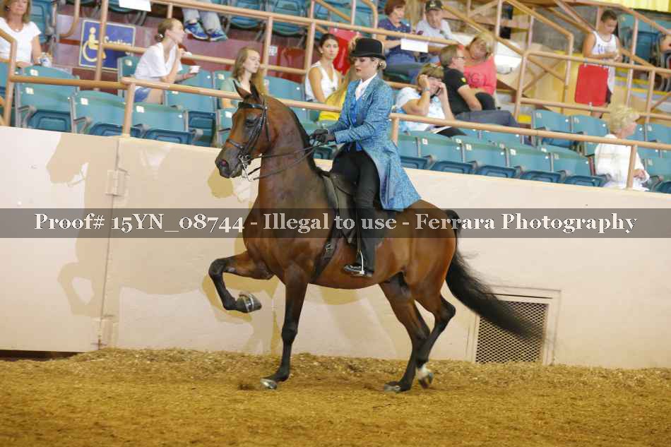 Proof 15YN_08744