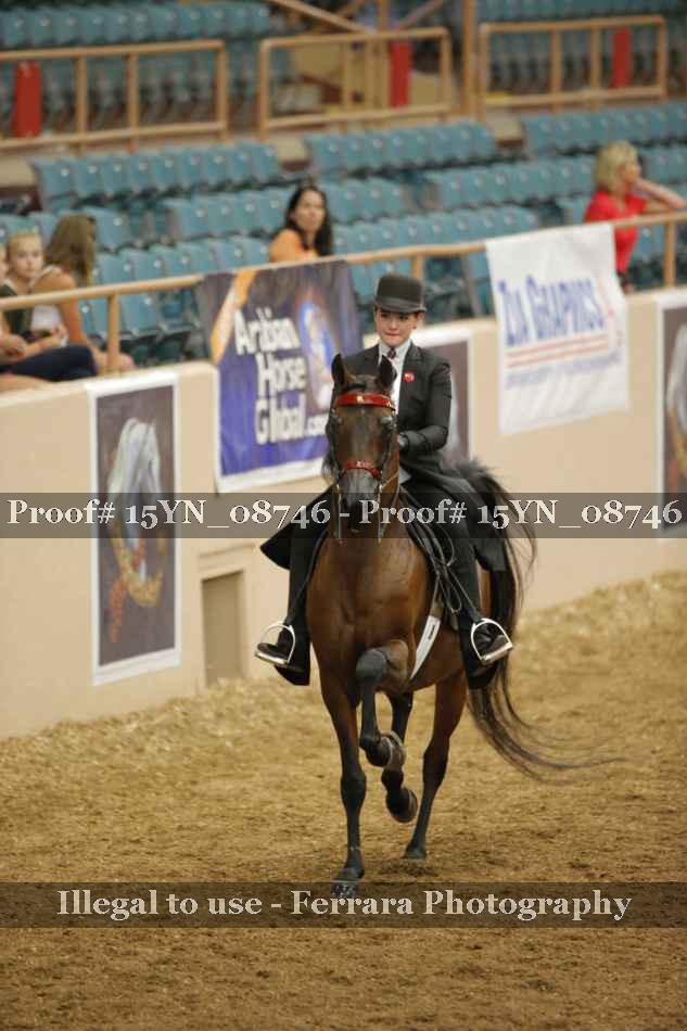 Proof 15YN_08746