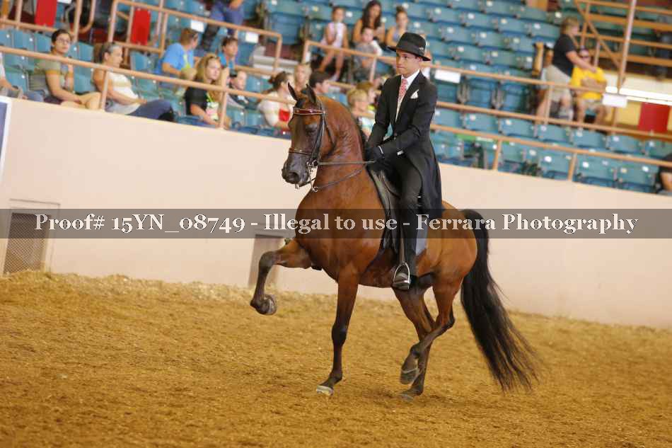 Proof 15YN_08749
