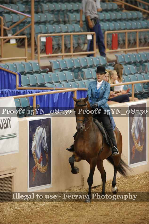 Proof 15YN_08750