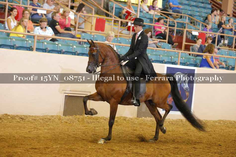 Proof 15YN_08751