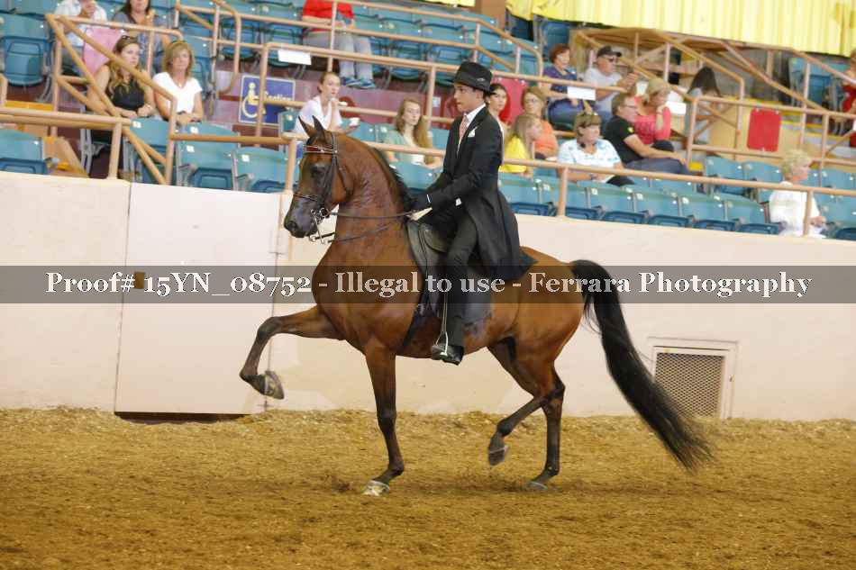 Proof 15YN_08752