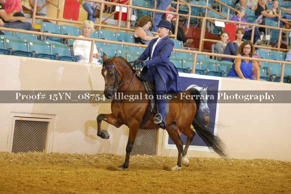 Proof 15YN_08754