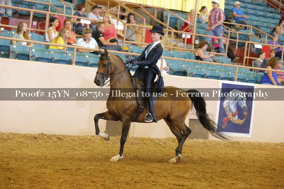 Proof 15YN_08756