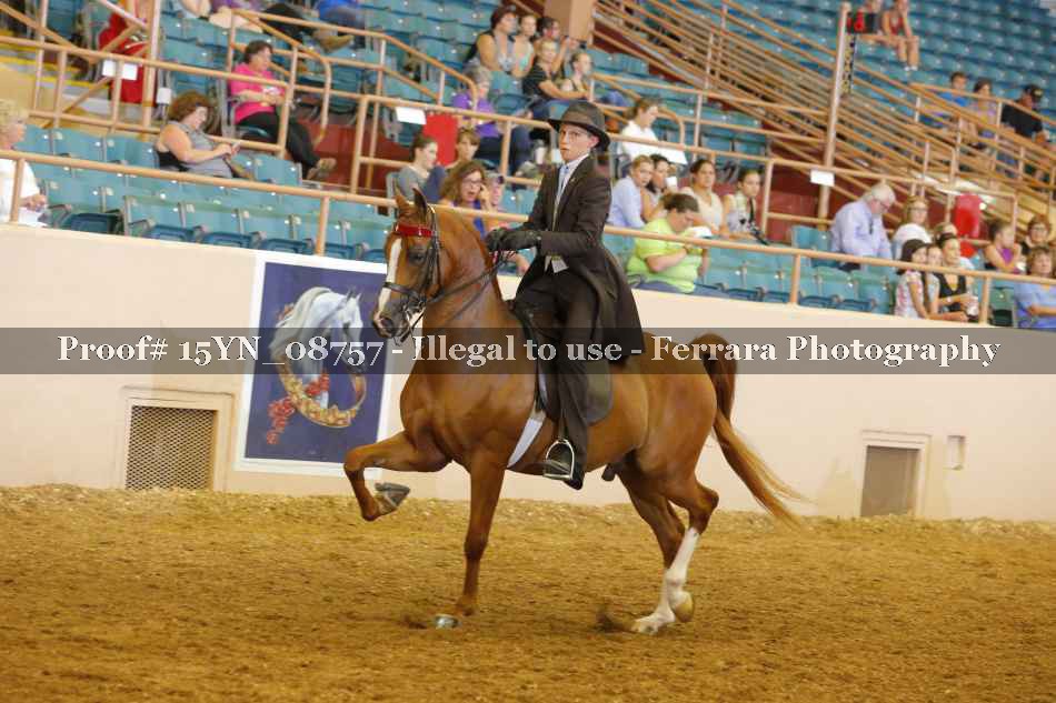 Proof 15YN_08757