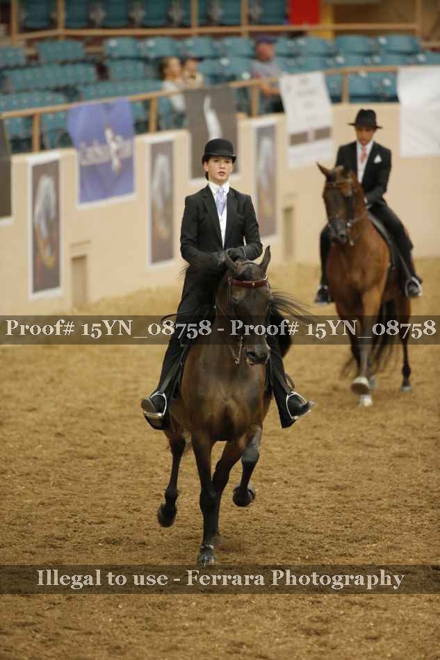 Proof 15YN_08758