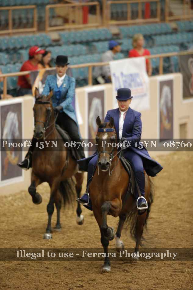 Proof 15YN_08760