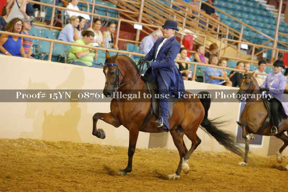 Proof 15YN_08761