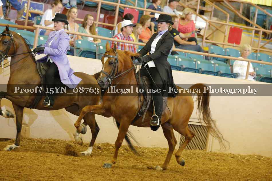 Proof 15YN_08763