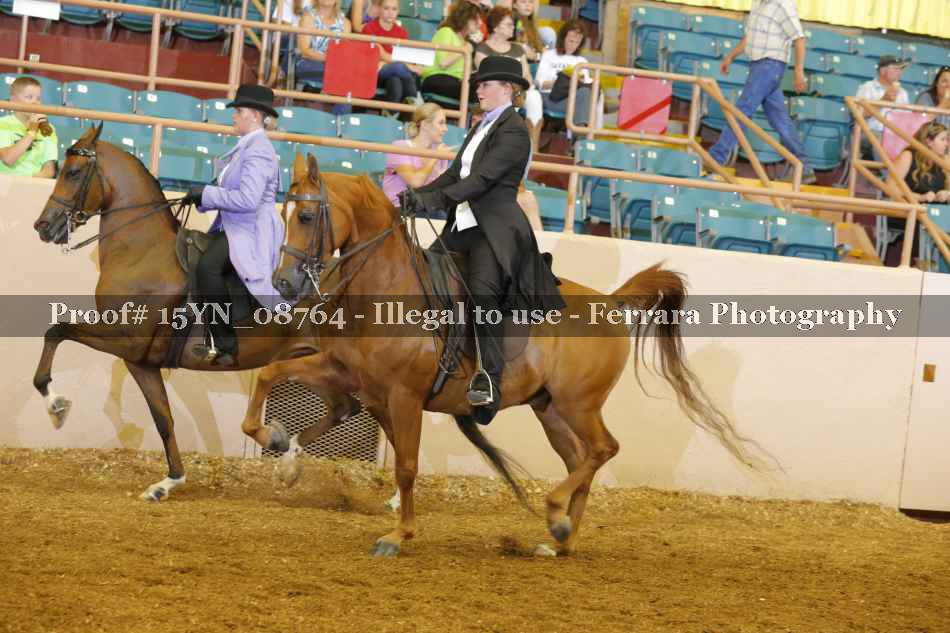 Proof 15YN_08764