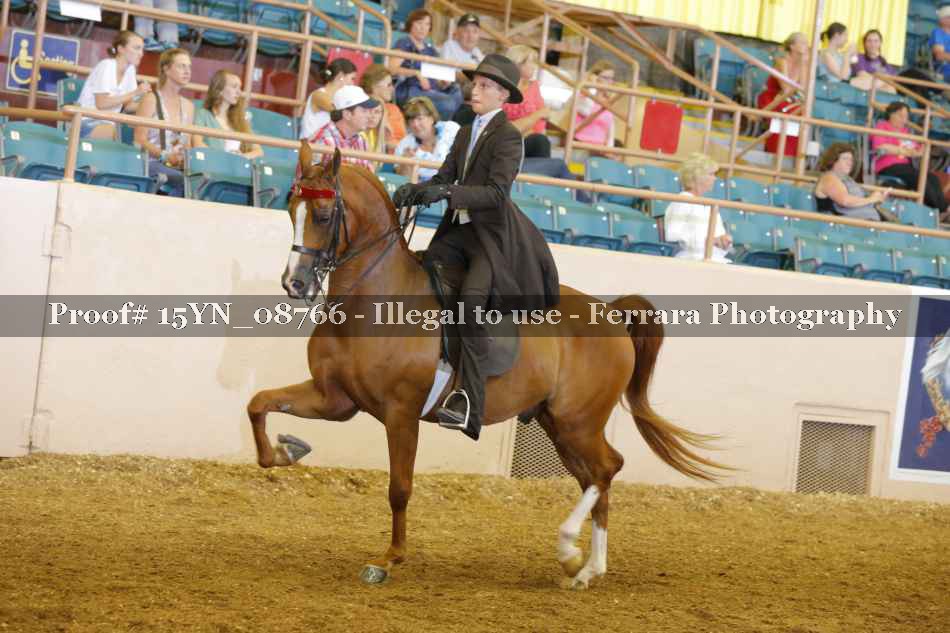 Proof 15YN_08766