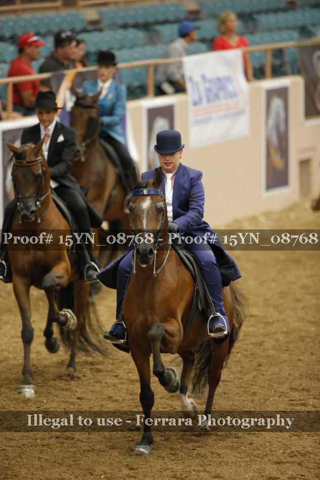 Proof 15YN_08768