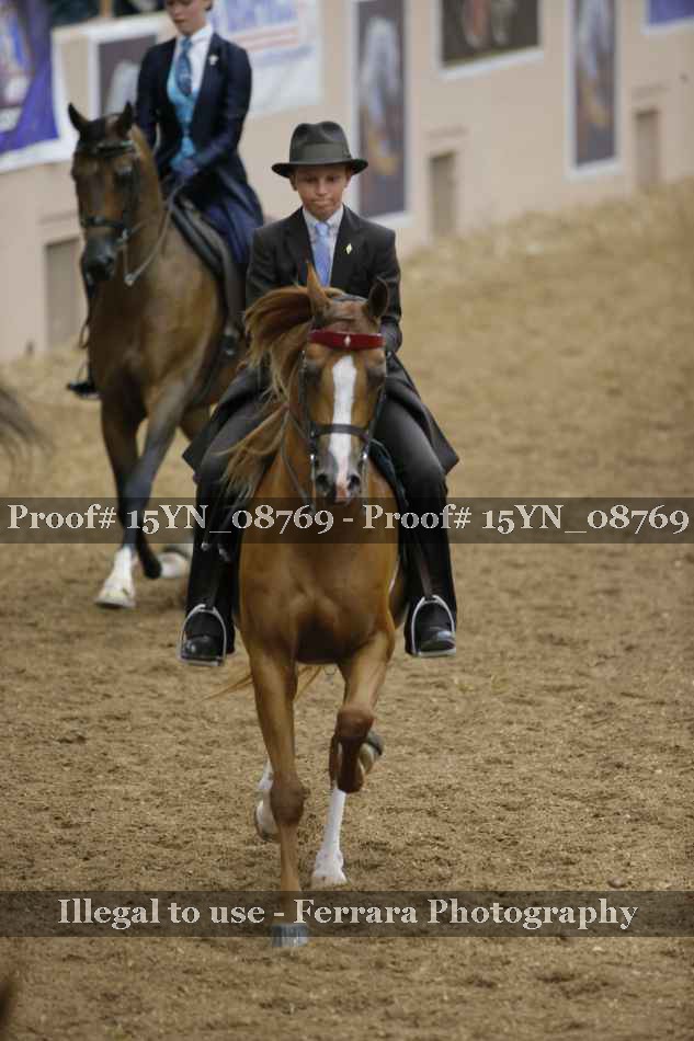 Proof 15YN_08769