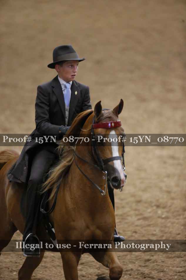 Proof 15YN_08770