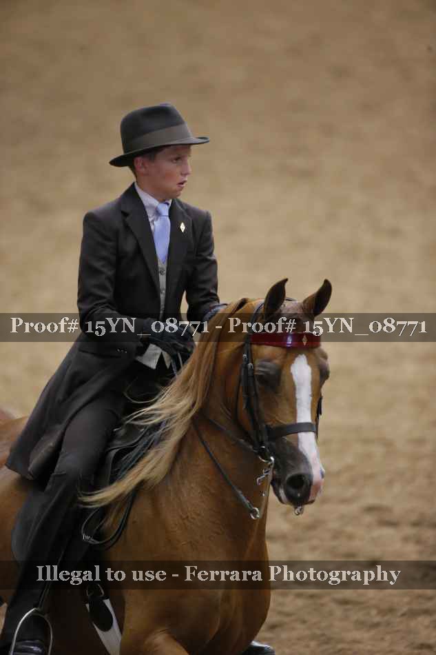 Proof 15YN_08771