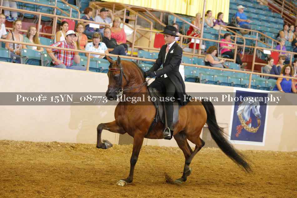 Proof 15YN_08773