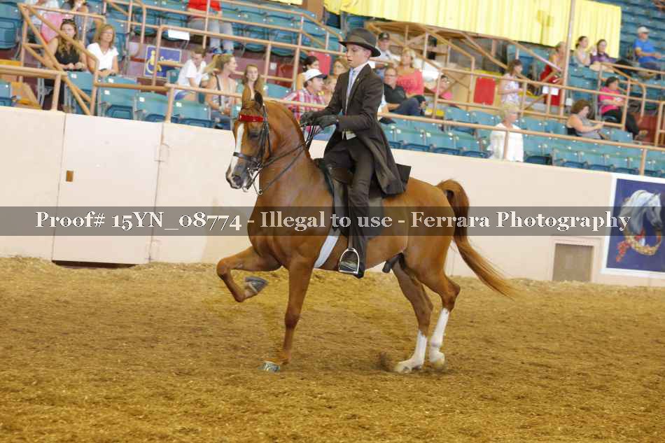 Proof 15YN_08774