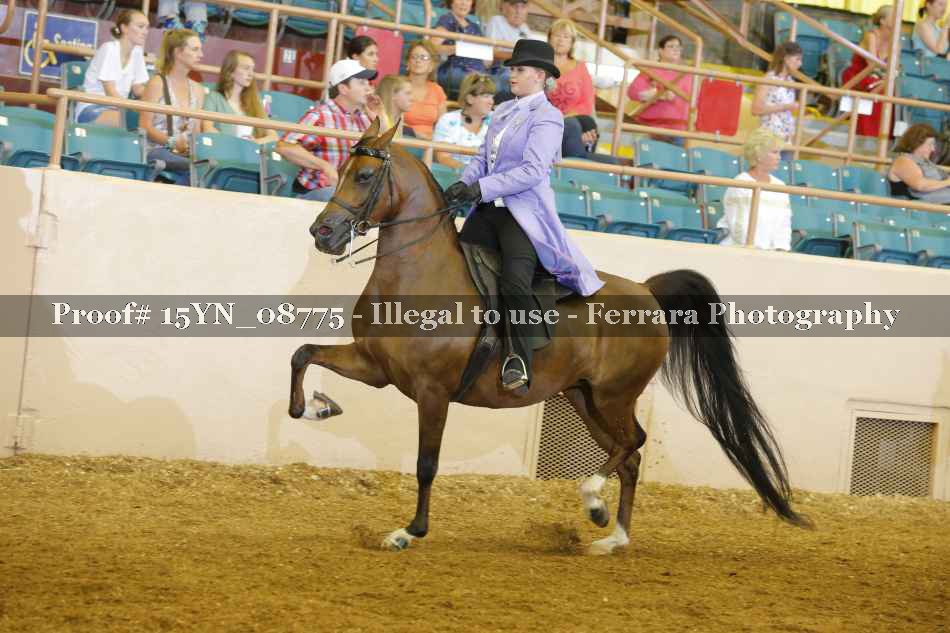 Proof 15YN_08775