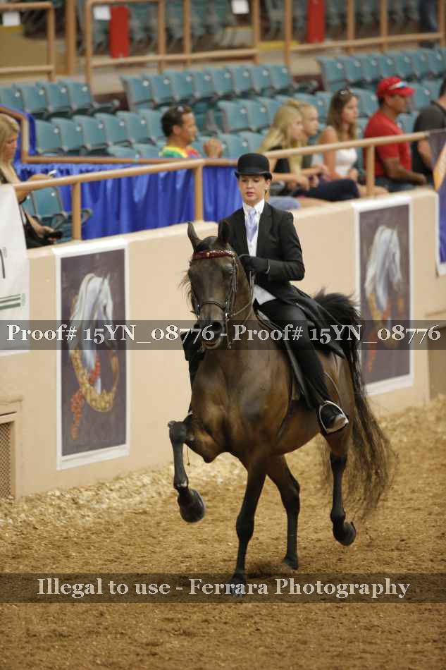 Proof 15YN_08776