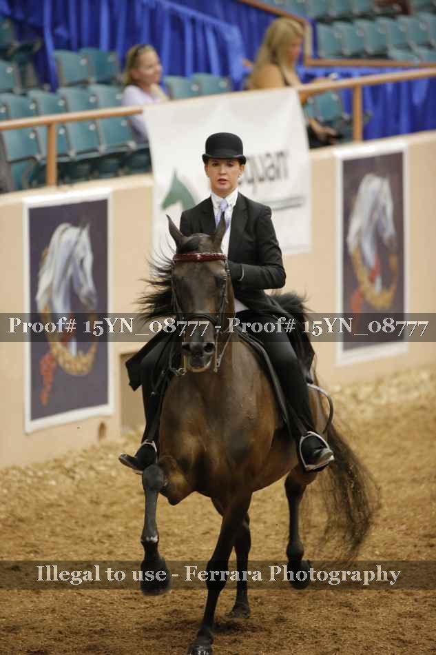 Proof 15YN_08777