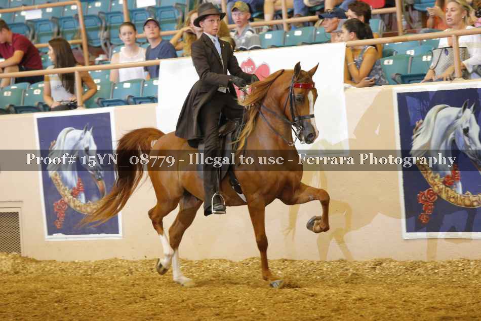 Proof 15YN_08779