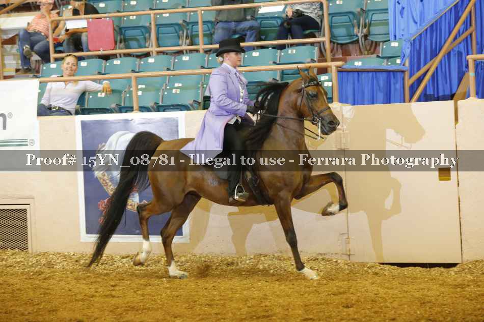 Proof 15YN_08781