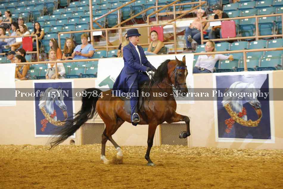 Proof 15YN_08784