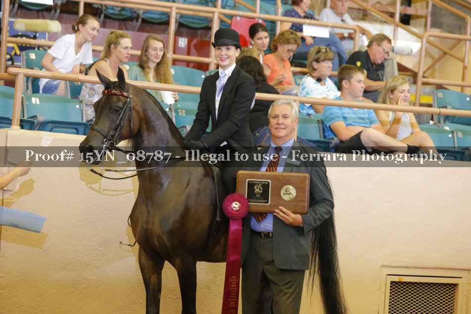 Proof 15YN_08787