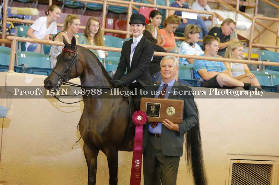 Proof 15YN_08788