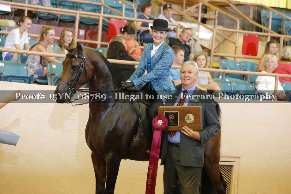 Proof 15YN_08789