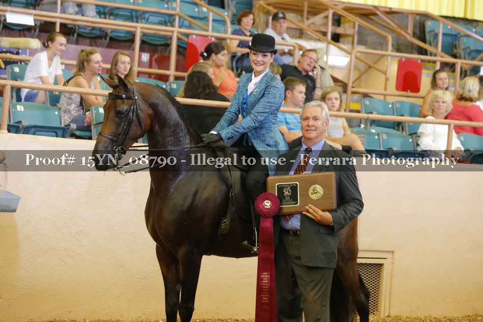 Proof 15YN_08790
