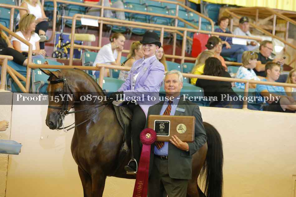 Proof 15YN_08791