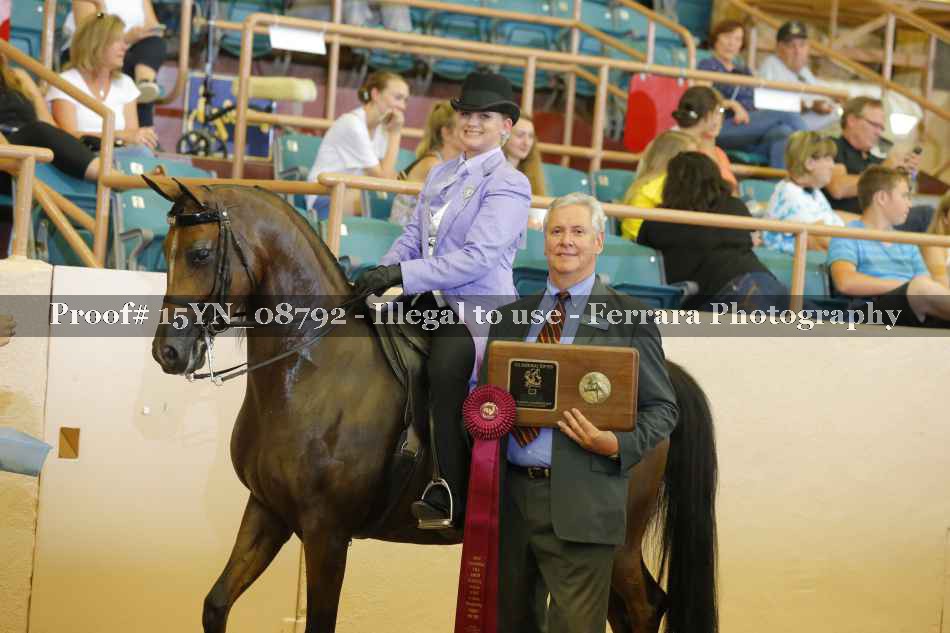 Proof 15YN_08792