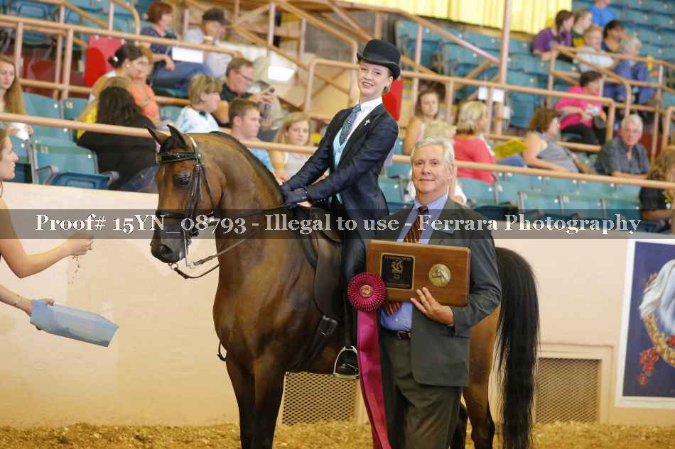 Proof 15YN_08793