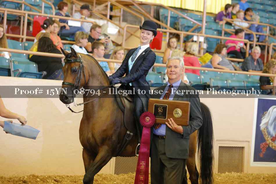 Proof 15YN_08794